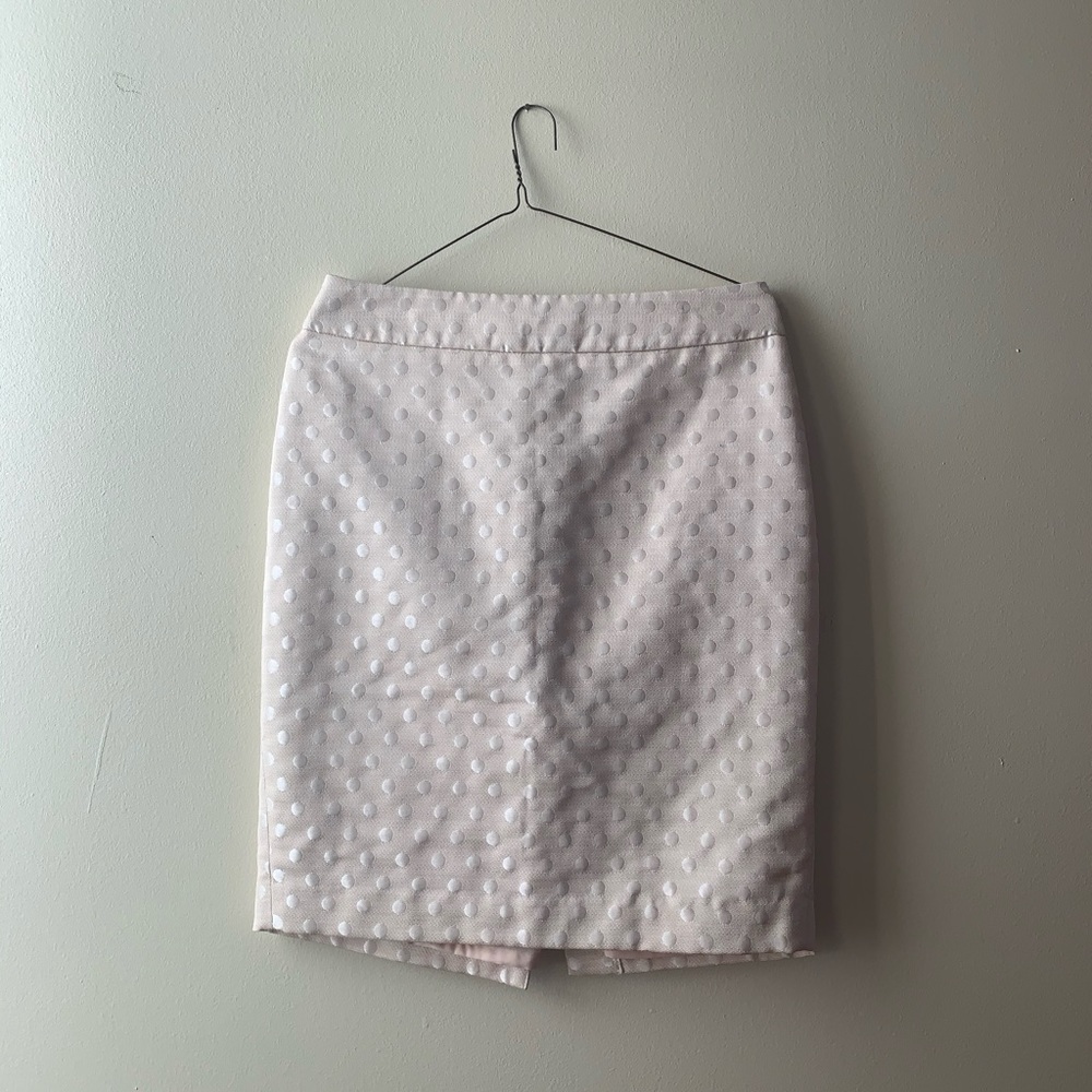 Ann Taylor Skirt